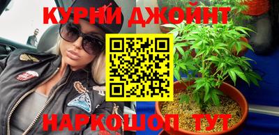 шишки Абакан