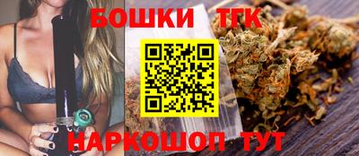 шишки Абакан