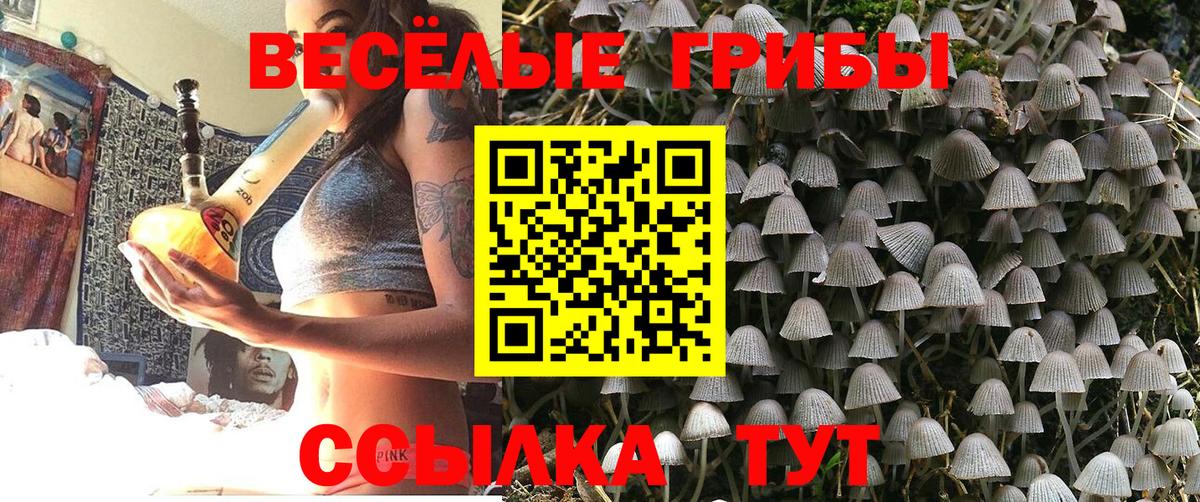 Апатиты  Галлюциногенные грибы мухоморы  Вход с VPN 