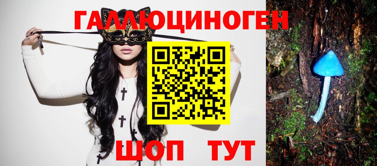 Псилоцибиновые грибы Psilocybe Апатиты